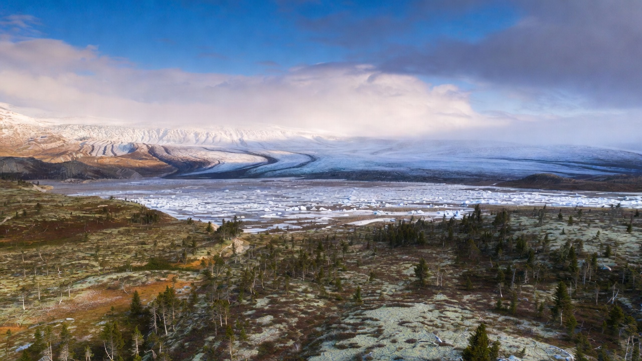 Арктические экосистемы и изменение климата — ЭкоТолк, экологический диктант